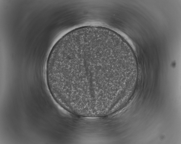 X0000116761343201001141421