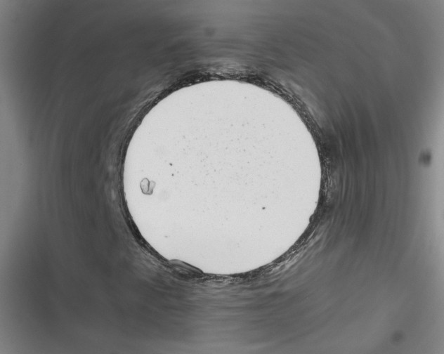 X0000116761345201001141421