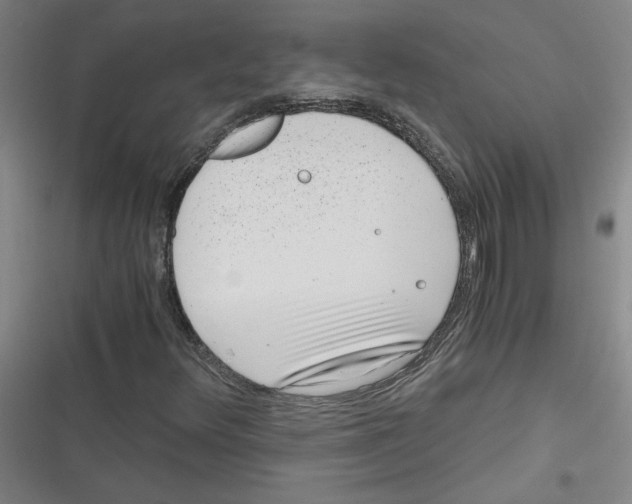 X0000116761348201001141421