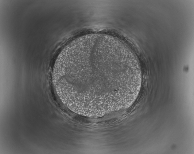 X0000116761349201001141421