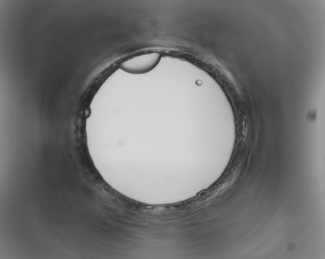 X0000116761352201001141421