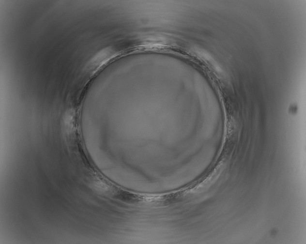 X0000116761353201001141421