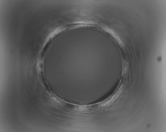 X0000116761357201001141421