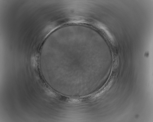 X0000116761361201001141421