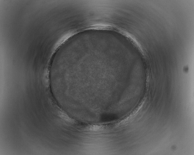 X0000116761362201001141421