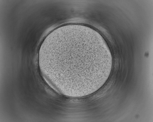 X0000116761366201001141421