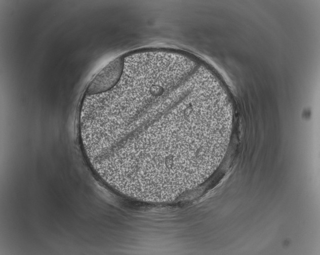 X0000116761367201001141420