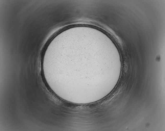 X0000116761368201001141420