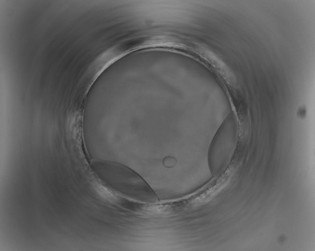 X0000116761369201001141420