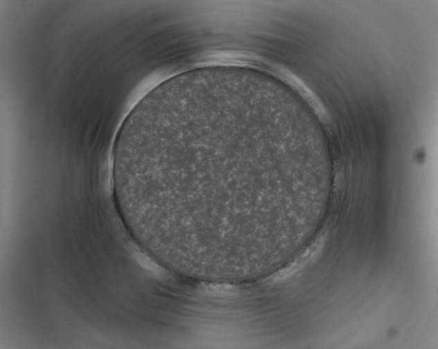 X0000116761370201001141420