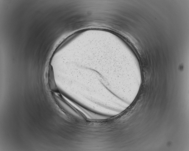 X0000116761371201001141420