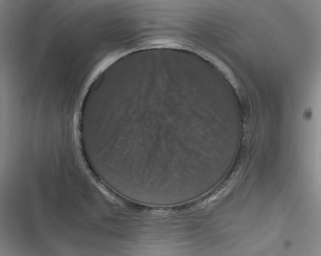 X0000116761373201001141420