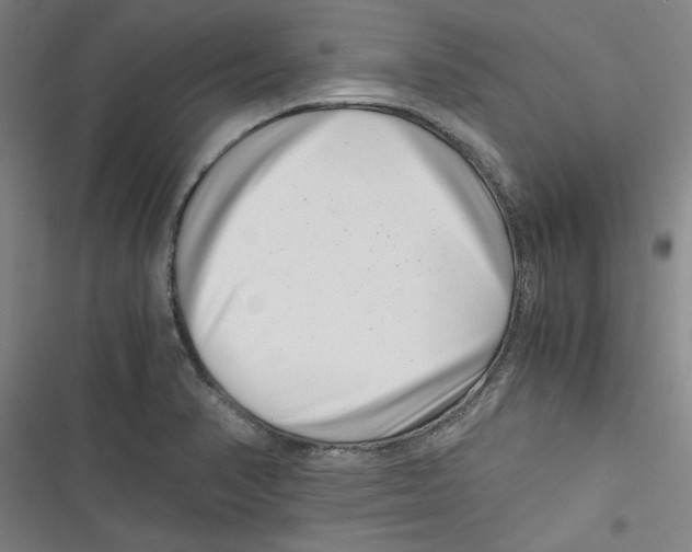 X0000116761374201001141420