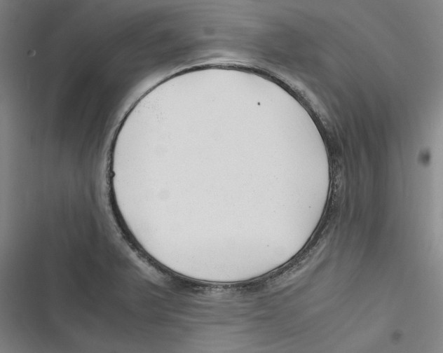 X0000116761375201001141420