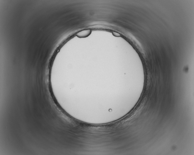 X0000116761376201001141420