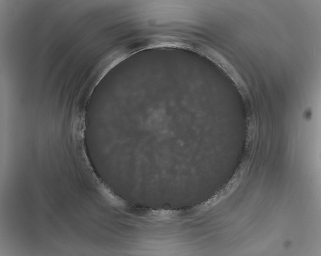 X0000116761377201001141420