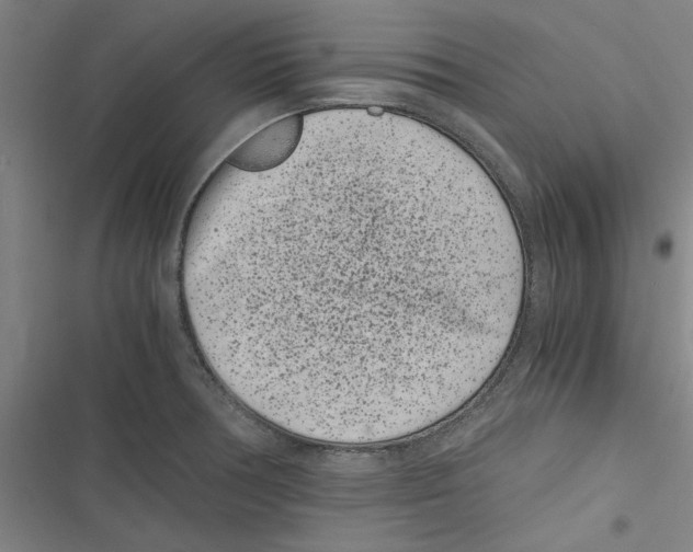 X0000116761378201001141420