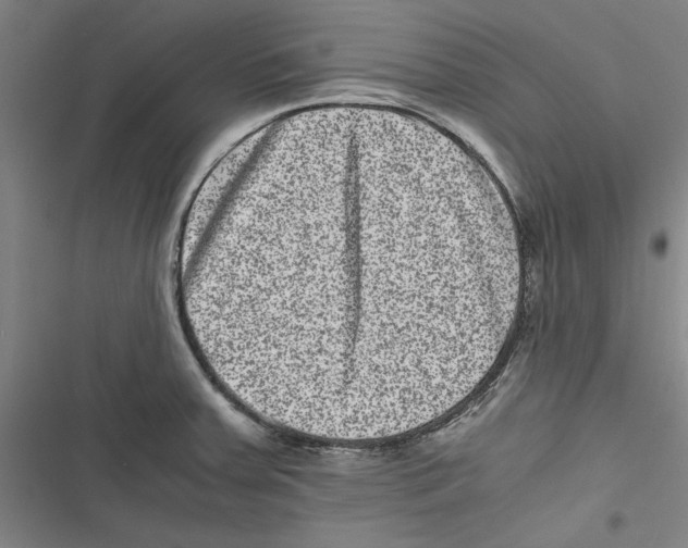 X0000116761379201001141420