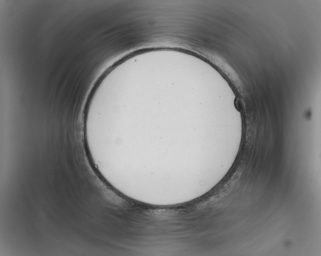 X0000116761380201001141420