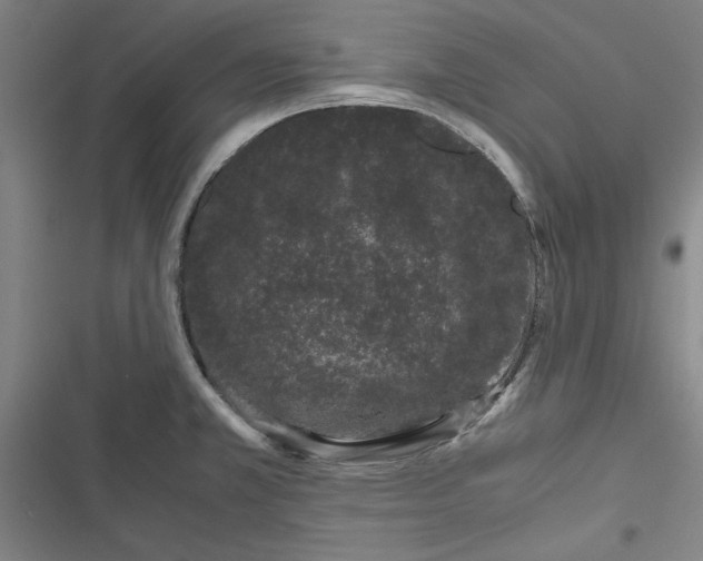 X0000116761381201001141420