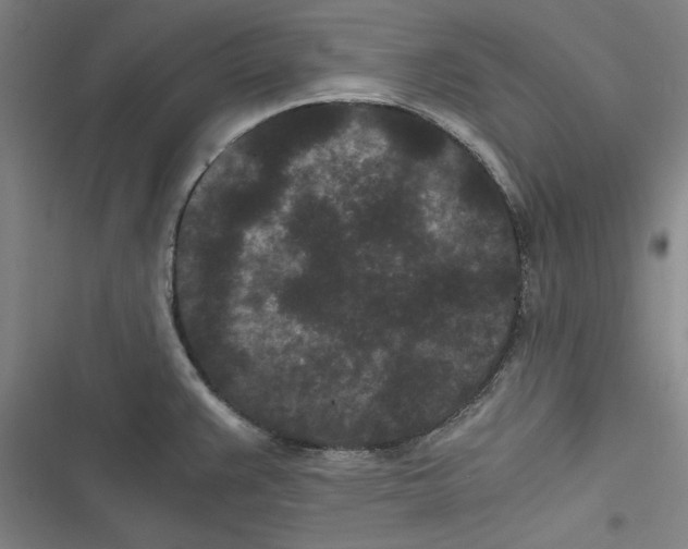 X0000116761383201001141420