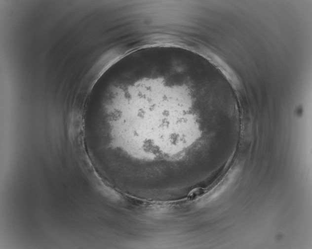 X0000116761385201001141420