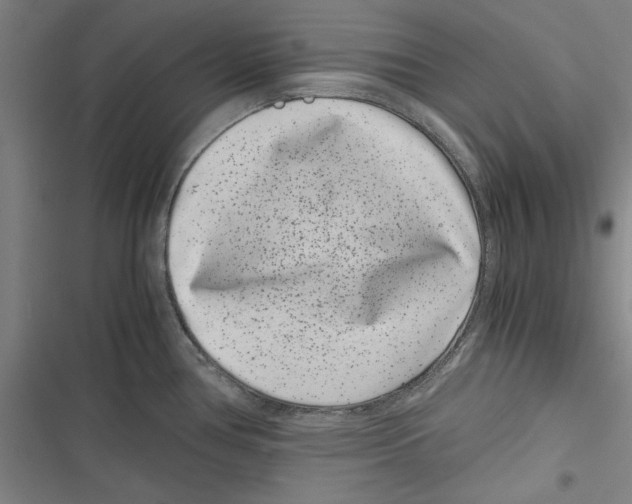 X0000116761386201001141420