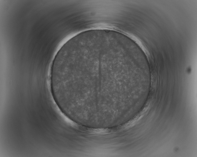 X0000116761387201001141420