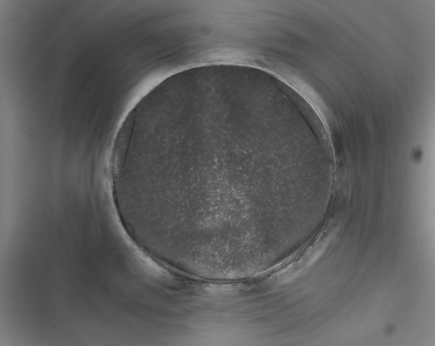 X0000116761389201001141420