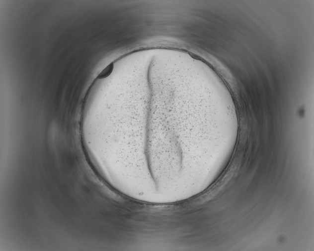 X0000116761390201001141420