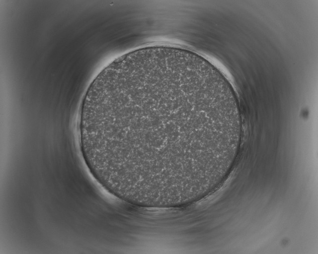 X0000116761391201001141420