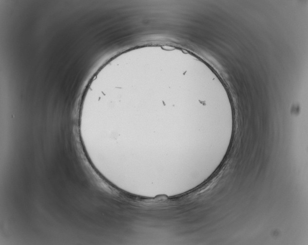 X0000116761392201001141420