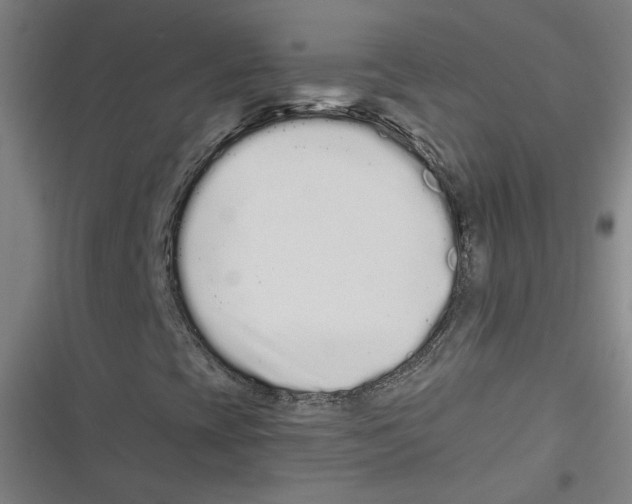 X0000116761393201001141419