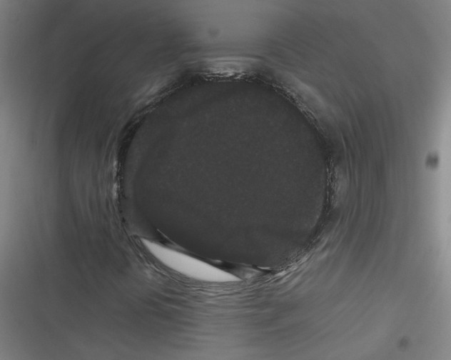 X0000116761394201001141420