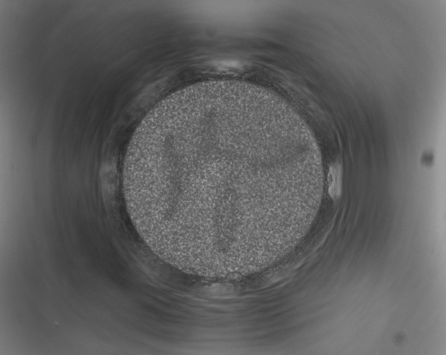 X0000116761395201001141420