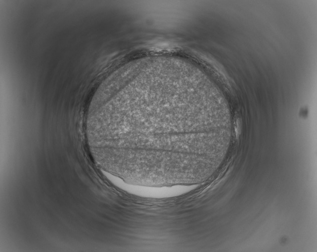 X0000116761396201001141420