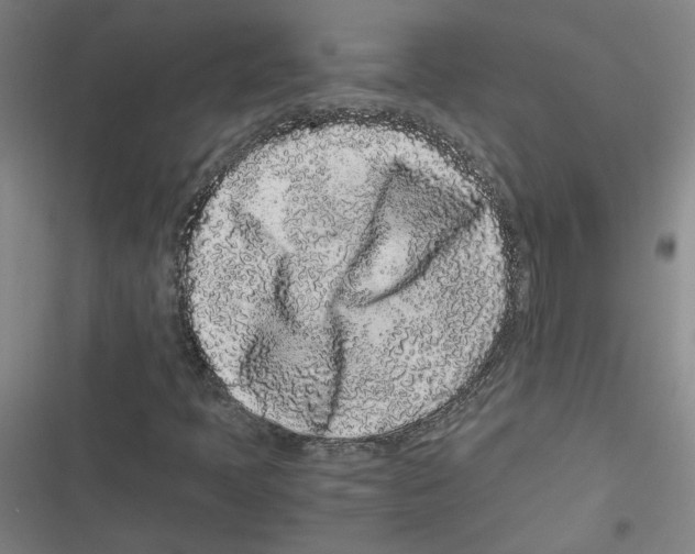 X0000116761397201001141420