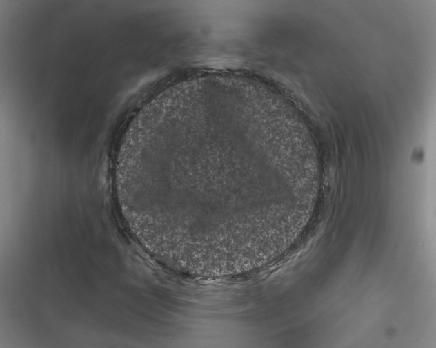 X0000116761398201001141420