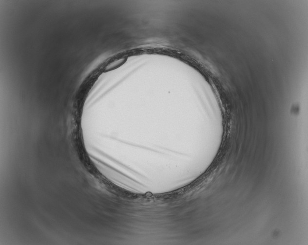 X0000116761400201001141420