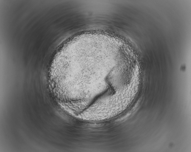 X0000116761401201001141420