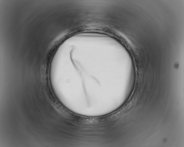 X0000116761403201001141420