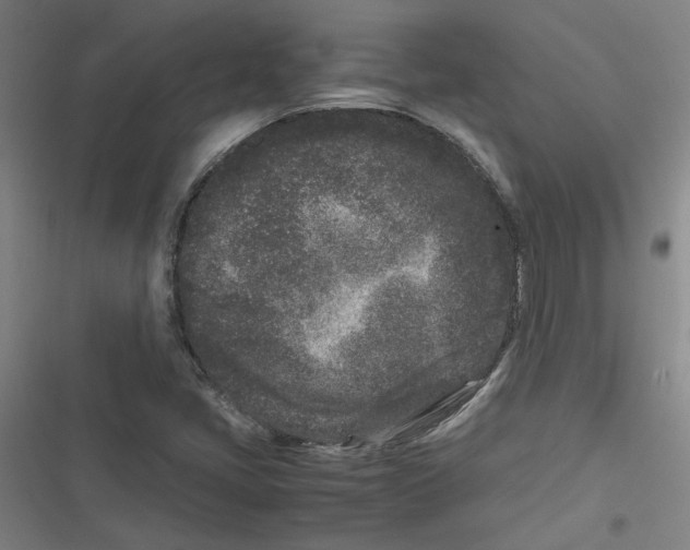 X0000116761405201001141420