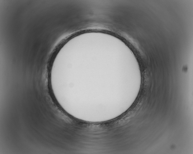 X0000116761408201001141420