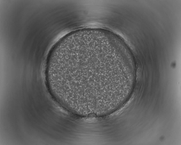 X0000116761410201001141420