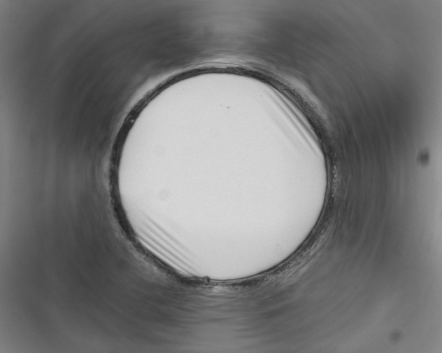 X0000116761412201001141420