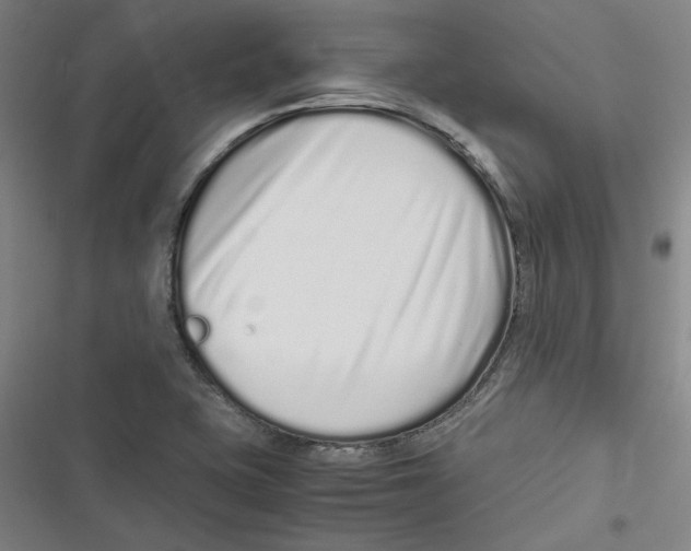 X0000116761415201001141420