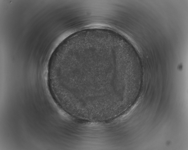 X0000116761418201001141420