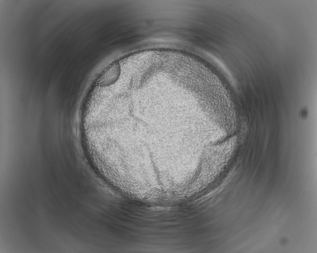 X0000116761419201001141420