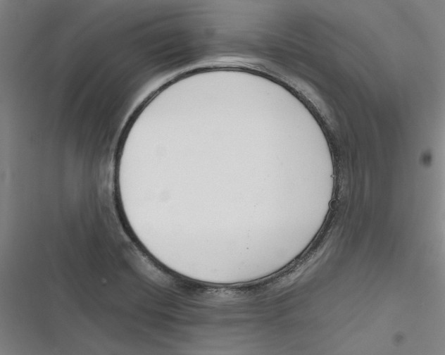 X0000116761420201001141420