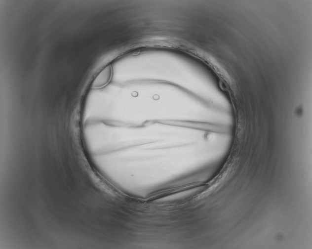 X0000116761421201001141420